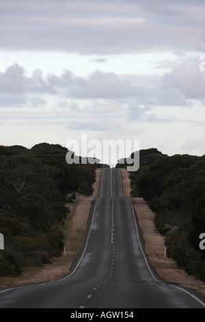 Empty Road Kangaroo Island Australien Stockfoto