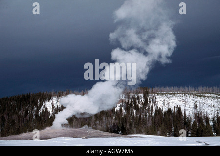 Old Faithful Geysir / Geysir Stockfoto