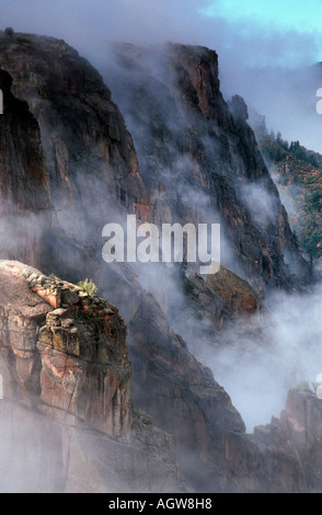 Nebel im canyon Stockfoto