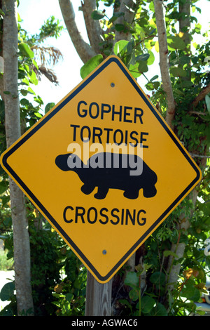 Gopher Schildkröte Kreuzung Zeichen Wildlife Drive J J Darling Refuge auf Sanibel Island South West Florida fl USA Stockfoto