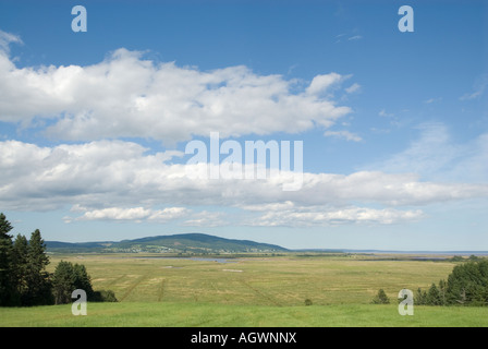 Heuwiesen entlang der Bay Of Fundy nördlich von Fundy Nationalpark Stockfoto