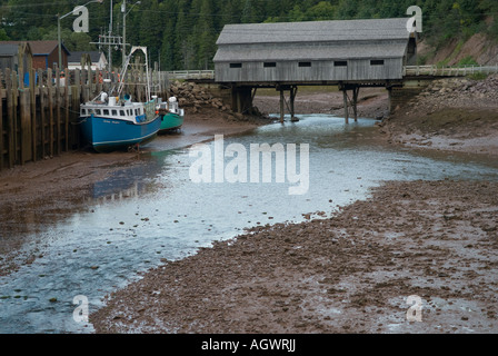 Angelboote/Fischerboote in St Martins New Brunswick sitzen im Schlamm bei Ebbe auf die Bay Of Fundy Stockfoto