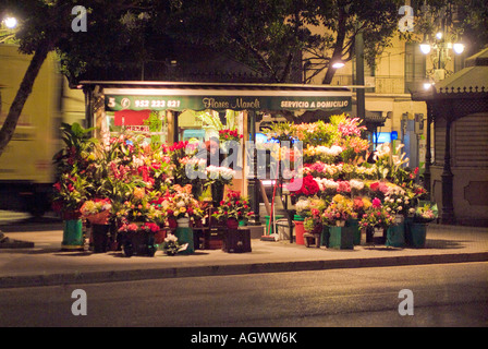 Outdoor-Blumenladen in der Nacht über Median in Malaga Spanien Stockfoto