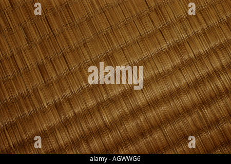 Nahaufnahme einer abgenutzten Stroh japanisches Tatami-Matte. Stockfoto