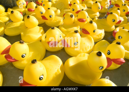 Hunderter gelben Ente Gummitiere eng zusammen bei einem Karneval-Spiel. Stockfoto