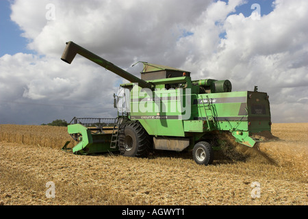Ein Deutz - Fahr Mähdrescher bei der Arbeit, die ein Feld von Weizen ernten. Hertfordshire, England Stockfoto