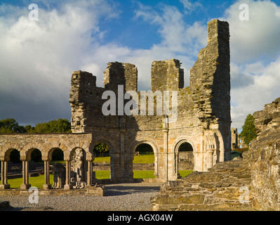 Lavabo und Kreuzgang, Mellifont Abbey, Irland Stockfoto