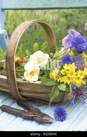 Traditionelle englische Sommergarten-Szene mit Schnittblumen in Trug auf Gartenbank Stockfoto