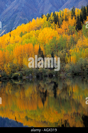 USA Alaska Fall colors reflecting in a lake in the Wrangell St Elias Range Stockfoto