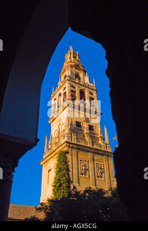 Kathedrale von CORDOBA Spanien THE ORANGE TREE COURTYARD entnommen Stockfoto