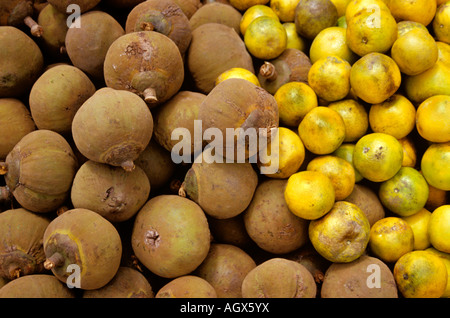 Zapoten und Mandarinen werden nebeneinander an einem Bauernmarkt in Pelileo, Provinz Tungurahua, Ecuador, ausgestellt. Stockfoto