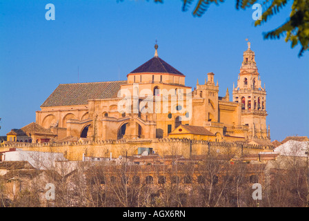 Skyline-Blick von Alcazar de Los Reyes Cristianos in Cordoba Spanien mit Turm der Kathedrale im Hintergrund Stockfoto