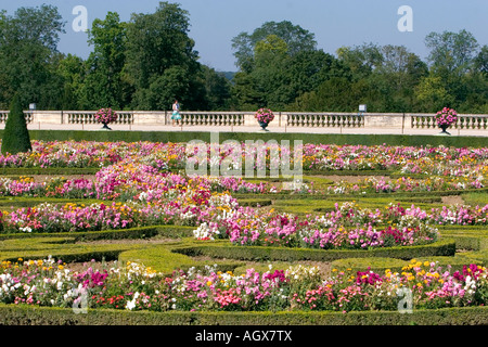 Die angelegten Gärten im Palast von Versailles in Versailles im Département Yvelines Frankreich Stockfoto