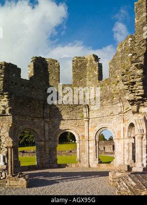 Lavabo, Mellifont Abbey, Irland Stockfoto