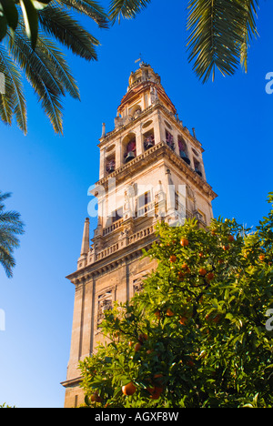 Kathedrale von CORDOBA Spanien THE ORANGE TREE COURTYARD entnommen Stockfoto