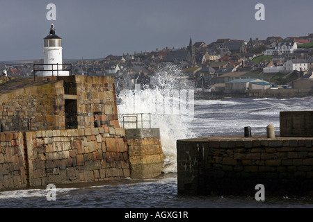 Die schottische Fischerei Stadt von Macduff, Aberdeenshire, UK, über die Bucht von Banff Hafen gesehen. Stockfoto