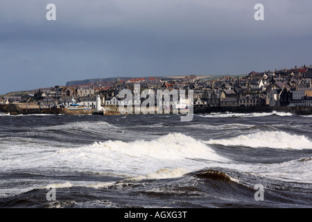 Die schottische Fischerei Stadt von Macduff, Aberdeenshire, UK, über die Bucht von Banff Hafen gesehen. Stockfoto