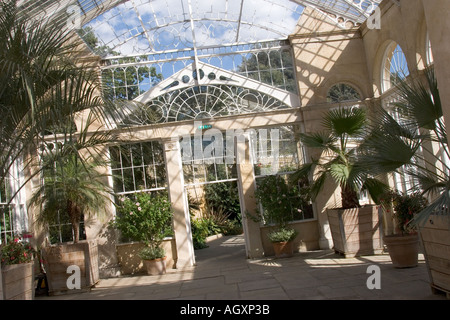Innenraum des großen Konservatoriums Syon Park von Charles Fowler 1826 erbaut Stockfoto