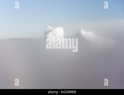 Riesige dramatische Eisberge, strahlend in der späten Nachmittagssonne mit niedrigen Seenebel schweben um sie herum aus Südwest Küste von Grönland Stockfoto