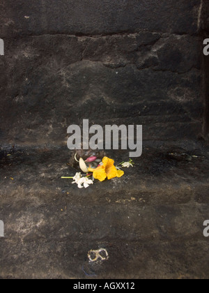 Blumen als Zeichen der Hingabe an einen Hindu-Tempel Stockfoto