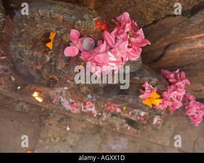 Blumen als Zeichen der Hingabe an einen Hindu-Tempel Stockfoto