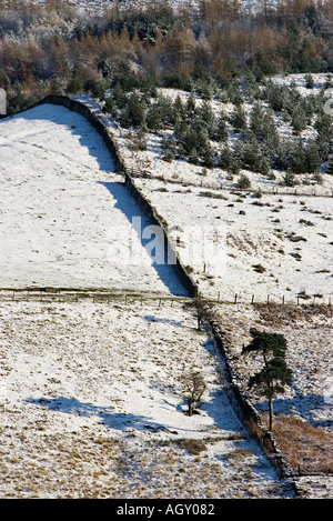Baum und Mauer mit Schnee am Hang und Pflanzung von Tannen Stockfoto