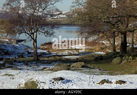 Blick durch die Bäume zum Dovestones Reservoir Chew Valley Saddleworth mit Schnee und blauer Himmel Stockfoto