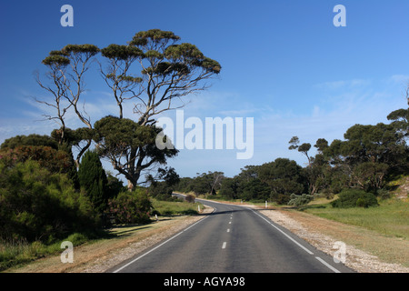 Empty Road Kangaroo Island Australien Stockfoto
