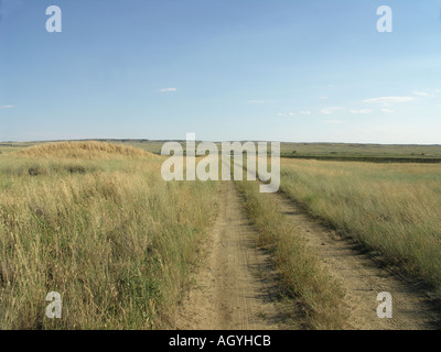 Reifenspuren durch die Prärie "Montana"-USA Stockfoto