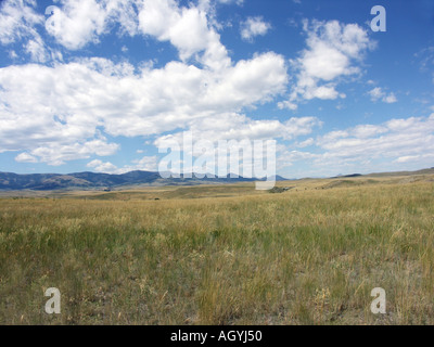 Berge und Wiesen Stockfoto