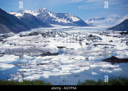 Tragen Sie Gletscher und Bär Gletschersee mit schwimmenden Eisberge und Eisschollen Kenai Fjords Nationalpark Yunan Alaska Stockfoto