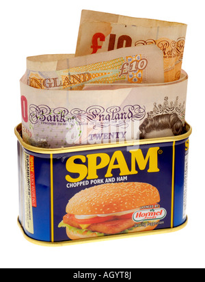 Leere Spam-Dose, die als Geldbox verwendet wird Stockfoto