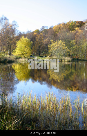 Herbstfarben spiegeln sich in den Teich im Café in der t Trossachs National Park in Schottland s schöne Trossachs Stirlingsh Stockfoto