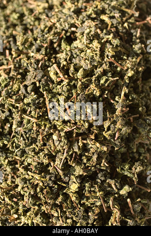 Grüner Tee, full-frame