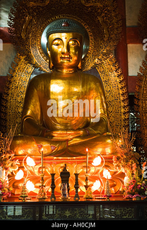 Buddha im Tempel Stockfoto