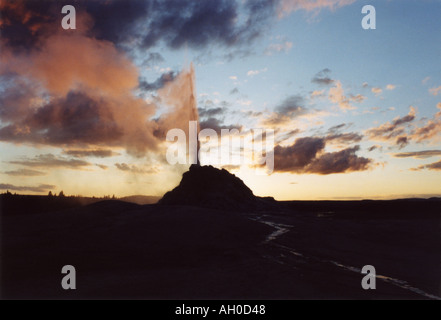 Großer Brunnen Geysir ausbrechen bei Sonnenuntergang im Yellowstone-Nationalpark, Wyoming Stockfoto