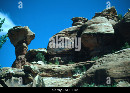 Felsformationen im McCloyds Canyon, Four Corners Region, Süd-Utah Stockfoto