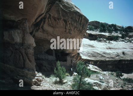 Entfernten Anasazi Klippe Wohnung, Moon House Ruine befindet sich im McCloyds Canyon, Süd-Utah Stockfoto