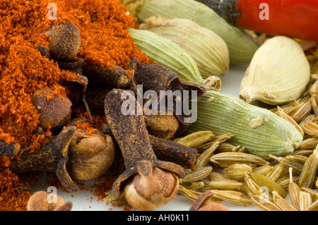 Eine Auswahl an Gewürzen vor einem weißen Hintergrund Stockfoto