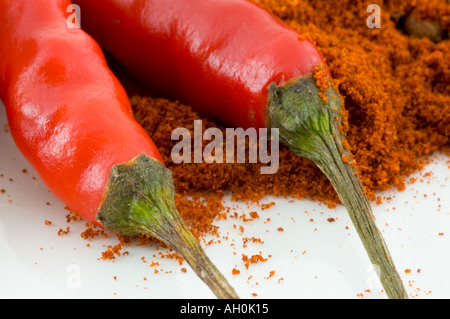 Eine Auswahl von Gewürzen und roten Vögel eye Chilis vor einem weißen Hintergrund Stockfoto