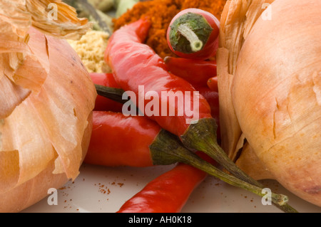 Eine Auswahl an Gewürzen vor einem weißen Hintergrund Stockfoto