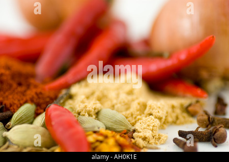 Eine Auswahl an Gewürzen und Chilis vor einem weißen Hintergrund Stockfoto