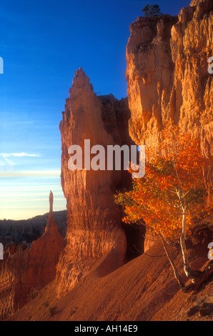 Bryce Canyon Nationalpark vom Sunset Point bei Sonnenaufgang auf Navajo Trail mit Sentinel Hoodoo Utah USA Südwesten Stockfoto