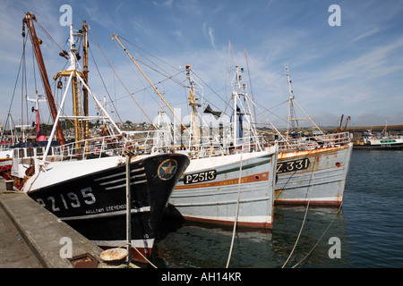 Angelboote/Fischerboote ankern in Newlyn Harbour, Newlyn, Cornwall, UK Stockfoto