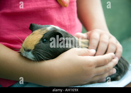 Meerschweinchen arme Kind Kind Mädchen Tier Haustier halten Stockfoto