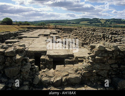 Die römische Festung und Stadt an Corbridge in Northumberland, 2,5 km südlich von Hadrian's Wall, und an einem wichtigen Flussübergang Stockfoto