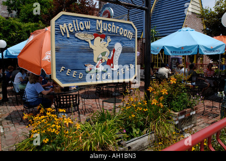 Mellow Mushroom Pizza-Restaurant, ein Wahrzeichen Hotel in Asheville, North Carolina Stockfoto