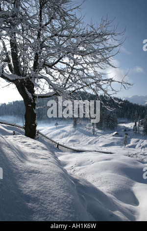 Indischen Himalaya gesehen vom Dorf Gulmarg, Kaschmir, Indien Stockfoto