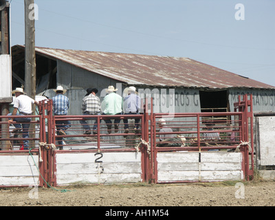 Gerade Rodeo Cowboys Stockfoto