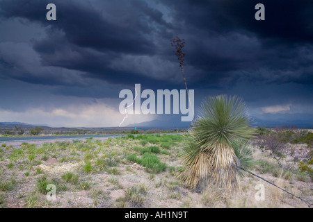 Ein Blitz von einem schweren Gewitter über der Wüste in New Mexico, USA Stockfoto